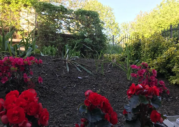 شقة Wygodny S4 Kaliszki